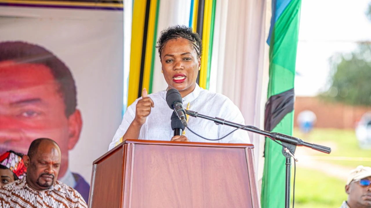 Naibu Waziri wa Nishati, Salome Makamba 