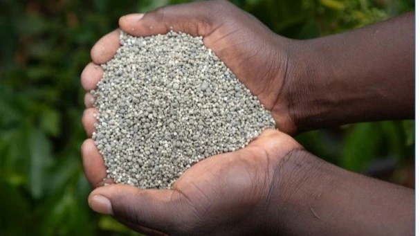 Mbolea ya kukuzia ya CAAN + inayozalishwa kwa malighafi za fosfeti ya Minjingu mkoani Manyara. 