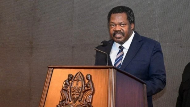 Vice President Emmanuel Nchimbi