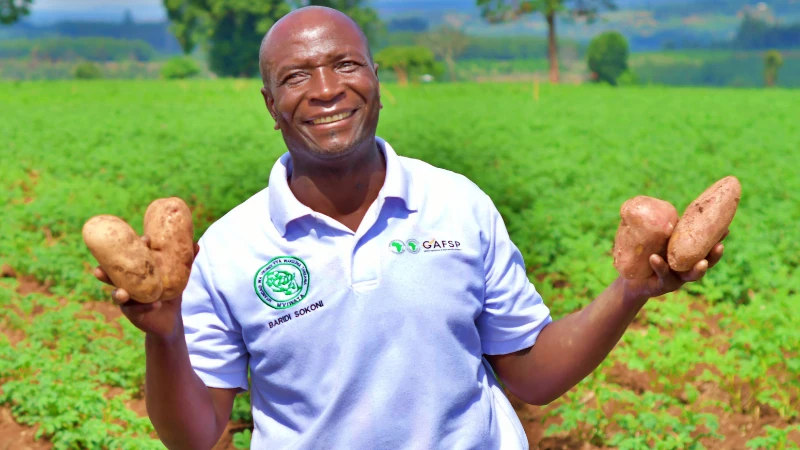 Menard Nziku, smallholder farmer leader from Wangingombe District in Njombe holding Irish potatoes, proda focus of the GAFSP funded project. 