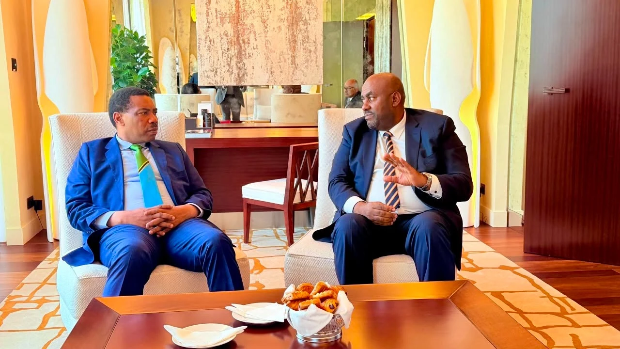 Tanzania courts French investment via Vision 2050 