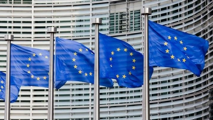 European Union Flags